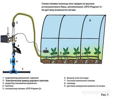 Как работает капельный полив