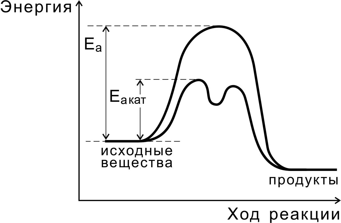 Каталитическая реакция это в химии. Каталитические и некаталитические реакции в органической химии. Энергетическая диаграмма химической реакции с катализатором. Реакция увеличения. Энергетический профиль реакции с катализатором.