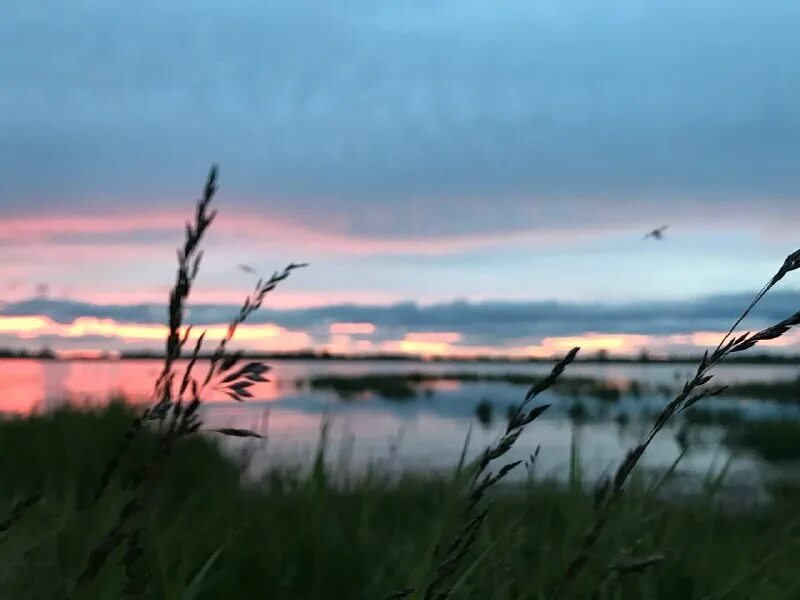 пол лета прошло. середина года. половина лета. середина лета фото.