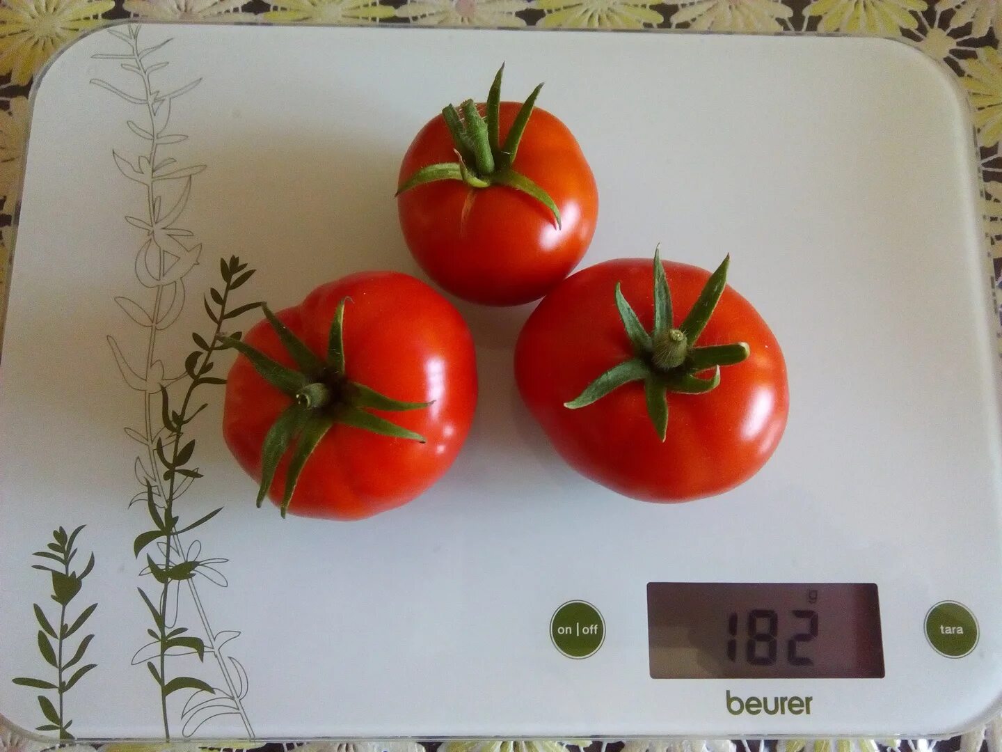 Сколько гр помидор. Томат черри вес 1 шт. Помидор черри вес 1 шт. Вес 1 помидора черри. Вес одного помидора.