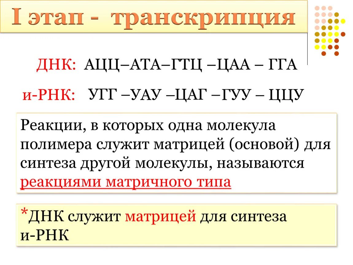 Ату транскрипция