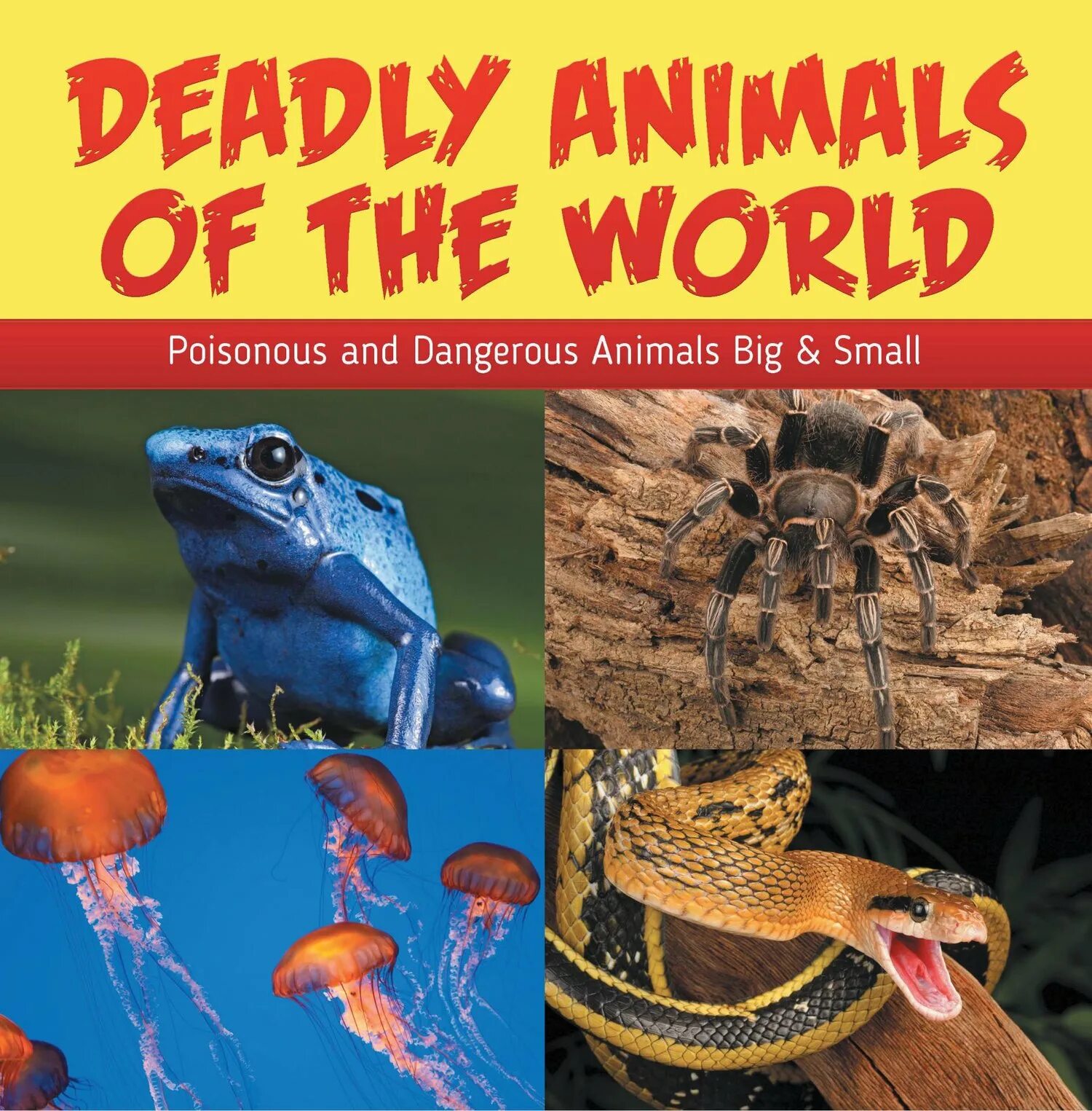 Animals in danger at present