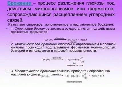 Ферменты тест биология
