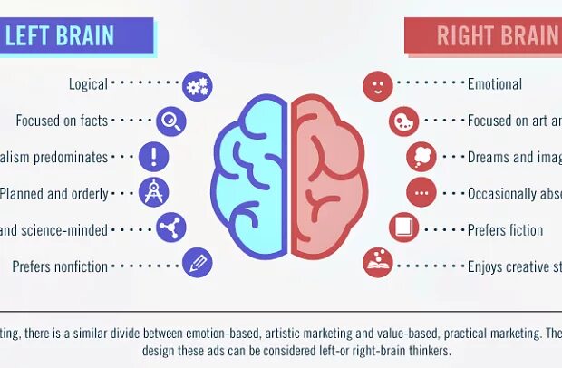 Left and right Brain. Left Brain right Brain. Left and right Brain characteristics. Brain логический. Facts rights