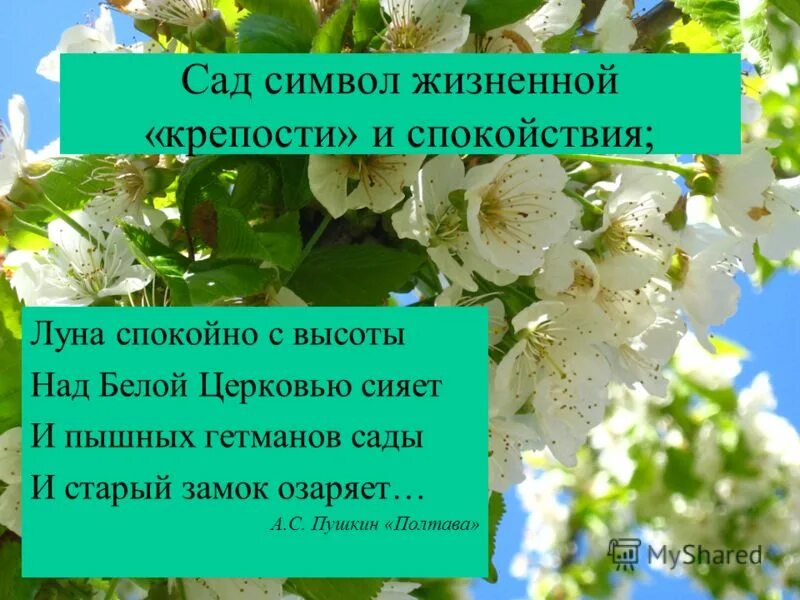 Тиха украинская ночь прозрачно небо звезды блещут. Тиха украинская ночь пушкин. Вишневый сад символ чего. Тиха украинская ночь драгунский. Что символизирует сад в литературе?.