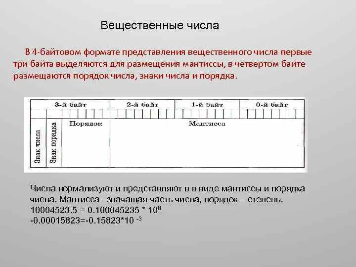 Вещественные цифры. Двухбайтовое представление числа. Вещественные числа. Порядок вещественного числа это. Число в двухбайтовом формате.