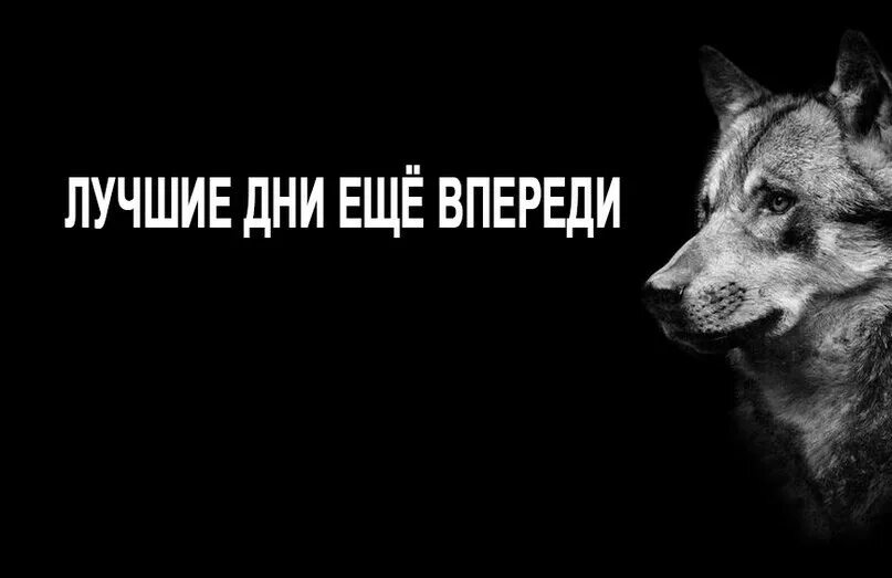 Каждому терпению приходит конец. И железному терпению приходит конец. Даже железному терпению приходит конец картинки. Железное терпение. Власти приходит конец