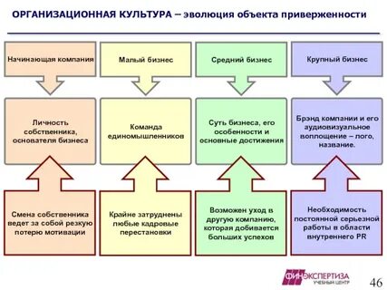 Организационная культура возникает