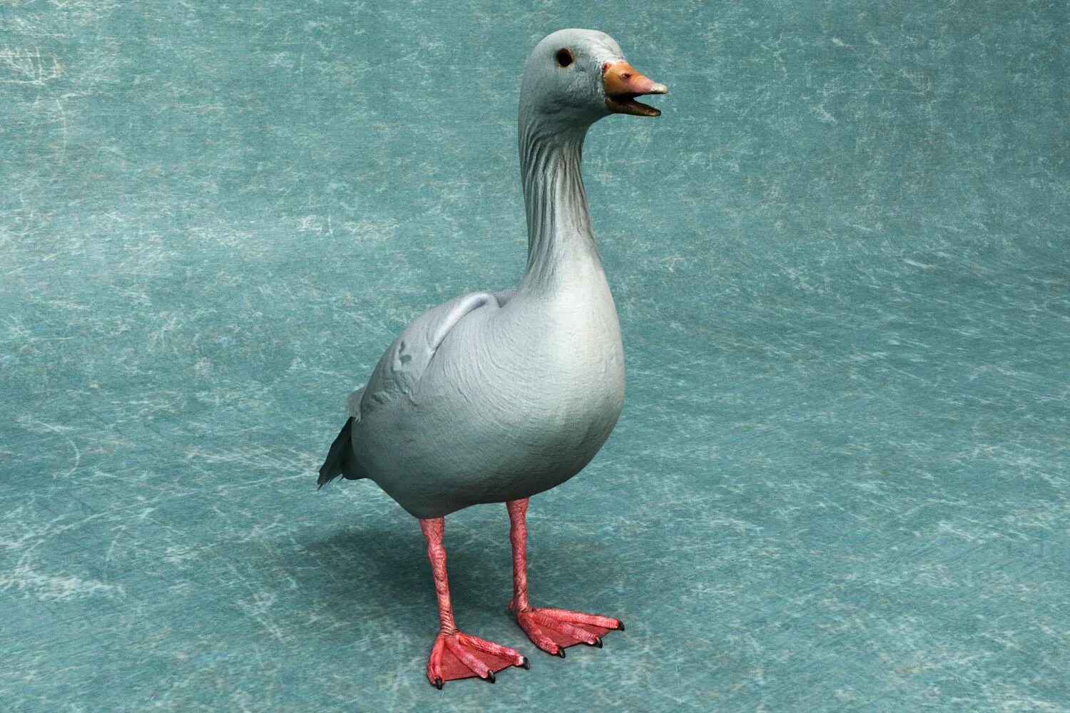 Гус 3. Goose 3d. модель гуся. гусь 3д модель. гусь 3d модель.
