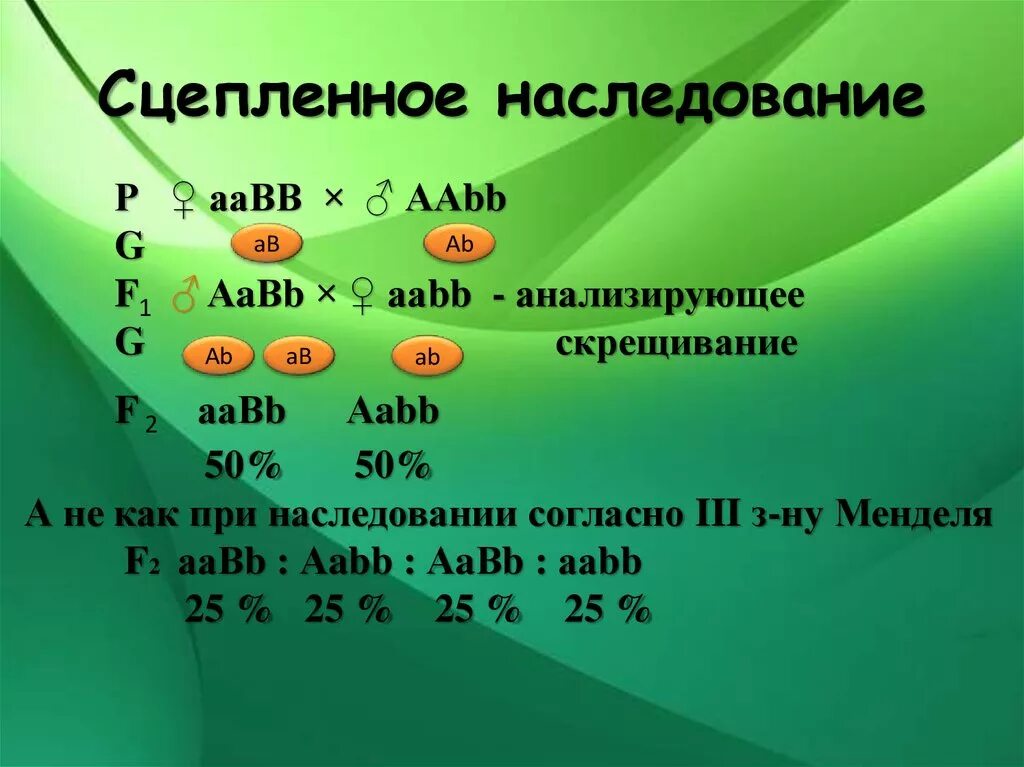 Наследование при полном сцеплении генов. Дигибридное, сцепленное наследование. Сцепленное наследование ААВВ. Сцепленноеинаследованик. Несцепленногое наследование.