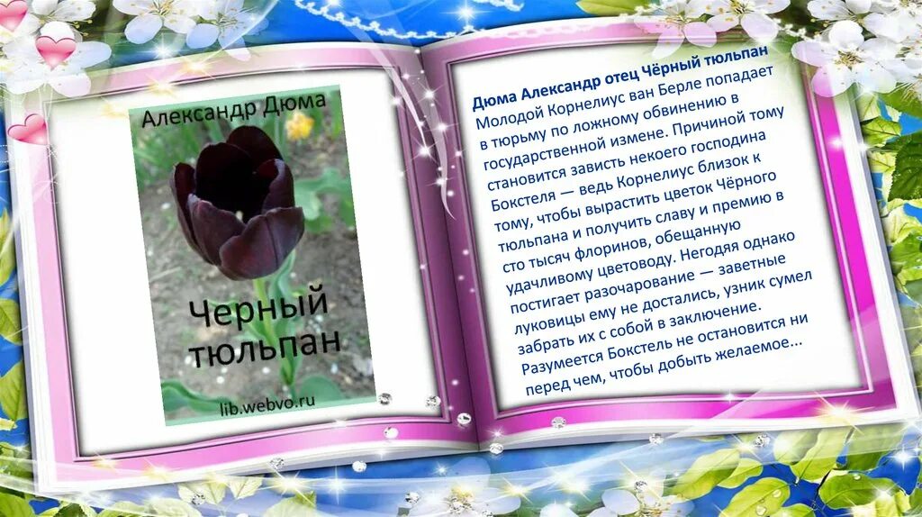 В черном тюльпане в стакане. Стих черный тюльпан. Черный тюльпан. Дюма а.. Черный тюльпан презентация.