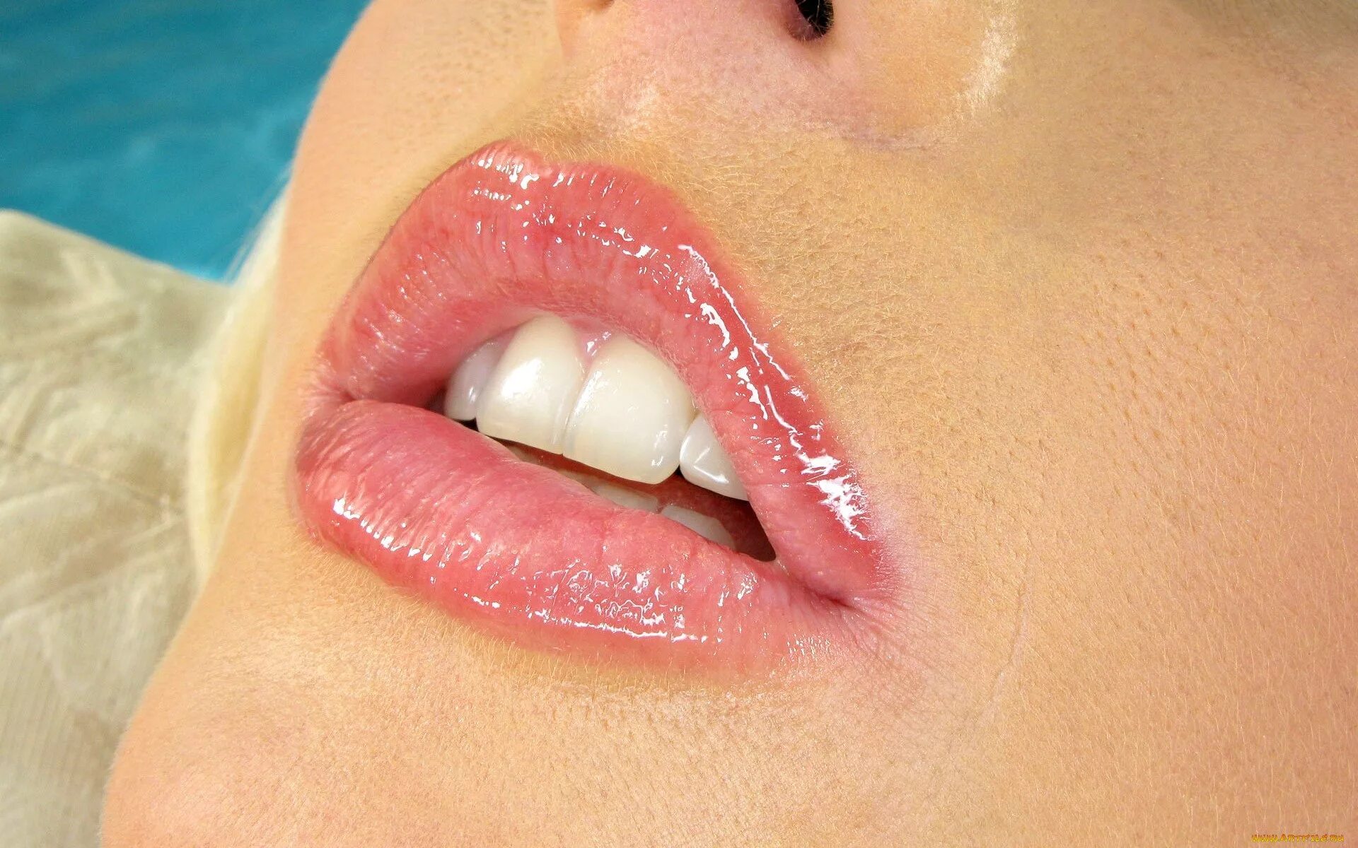 Малые губы девушек. Самые красивые половые губы. Внутренние губы женщины. Малые губы девушек. Большие губы фото без фона.