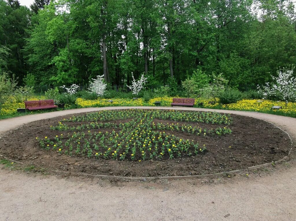 Черноморский бульвар парк летом. Парк года. Парк 3 микрорайон егорьевск. Парк победы егорьевск. Парк 850 летия москвы скейт парк.