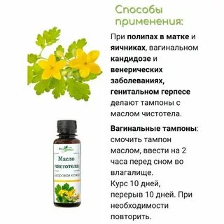 Какие травы от папилломы