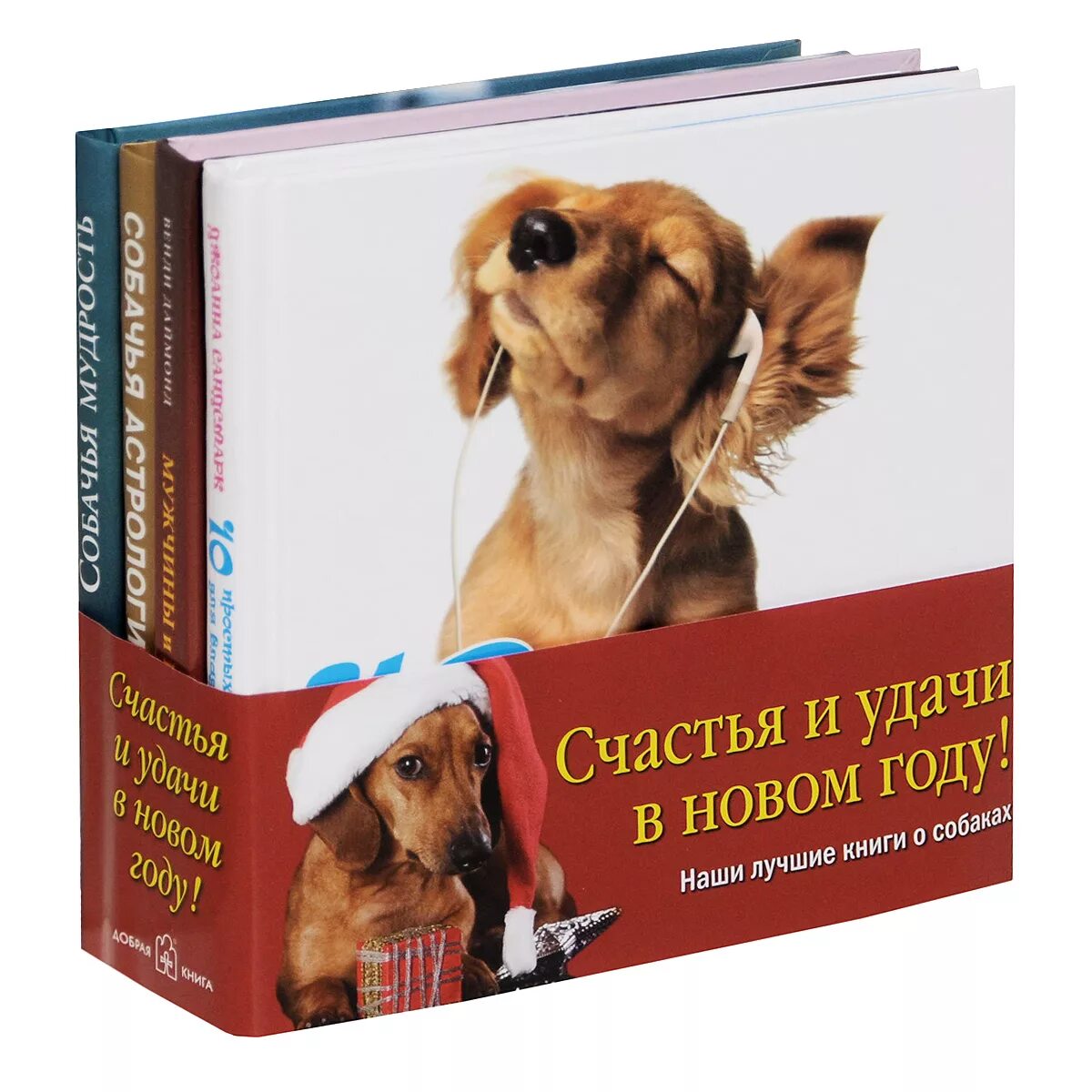 Книги про собак. Собака с книжкой. Лучшие книги про собак. Энциклопедия о собаках.
