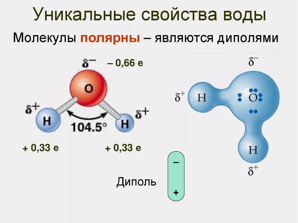 Строение формулы воды. Строение молекулы воды диполь. Молекула воды диполь. Строение молекулы воды, полярность молекулы воды.. Строение воды полярность молекулы.