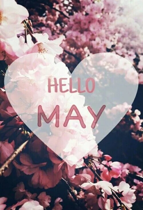 Май май 30 минут. Хелло май. Hello May картинки. Hello May надпись. Заставки на телефон hello May.