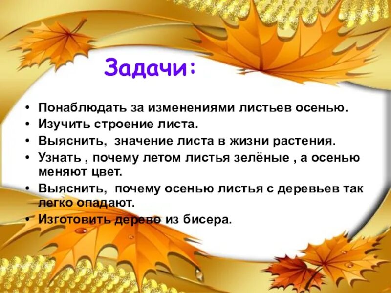 Почему листья меняют цвет осенью. Строение осеннего листа. сочинение как опадают листья. почему листья меняют цвет осенью исследовательская работа.