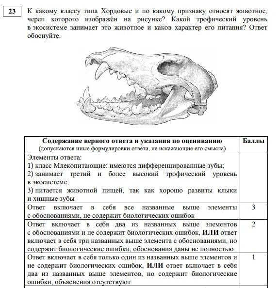 Черепа животных ЕГЭ. Черепа животных ЕГЭ биология. Определение животных по черепам. Череп плотоядного животного ЕГЭ. Контрольная работа по биологии по теме хордовые