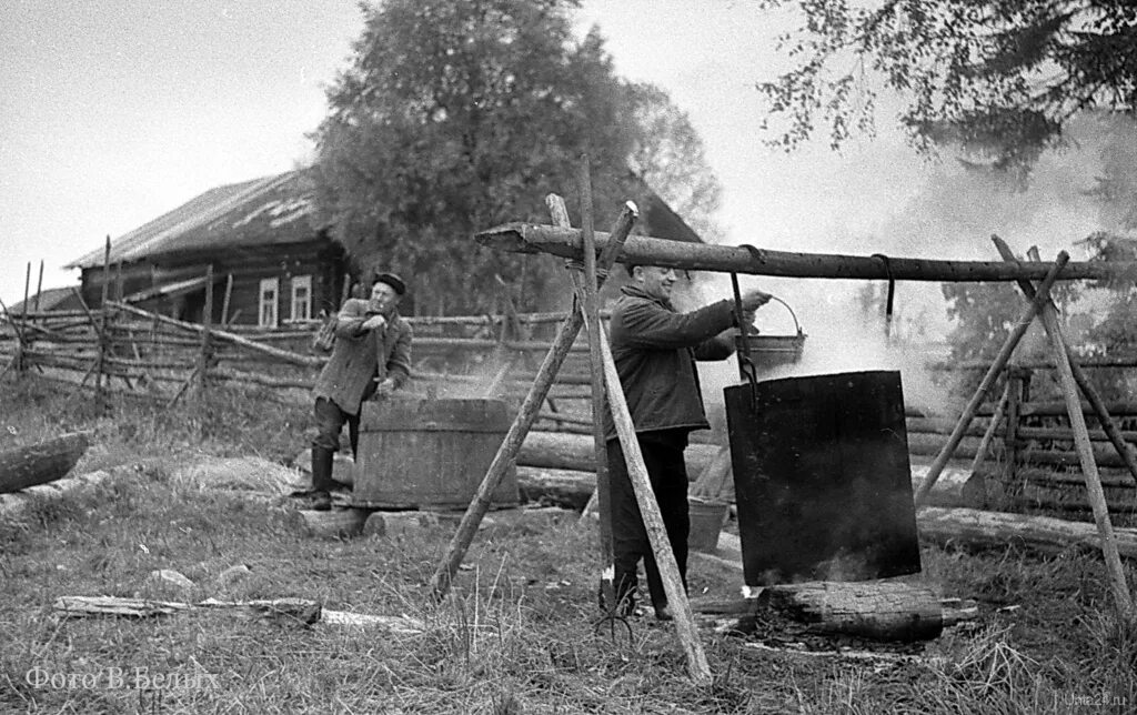 Деревня павшино. Витаминная деревня. Деревня павшино. Село новое павшино дубенский район тульской области. Боголюбская церковь и кладбище красногорск.