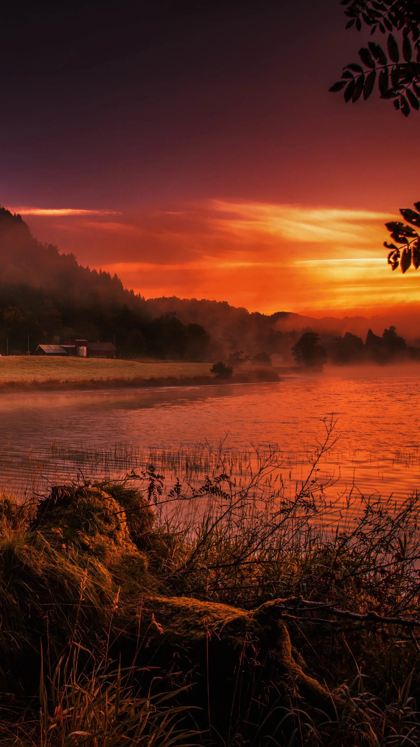 Pin by rachel faulkner on Paysage Sunset pictures, Nature pictures, Amazing suns