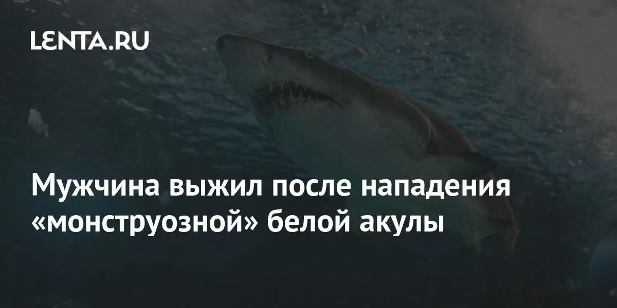 Акула напала на человека на мальдивах. Спаслись после атаки акул.. Мужчина выжил после нападения акулы. Метраж акулы.