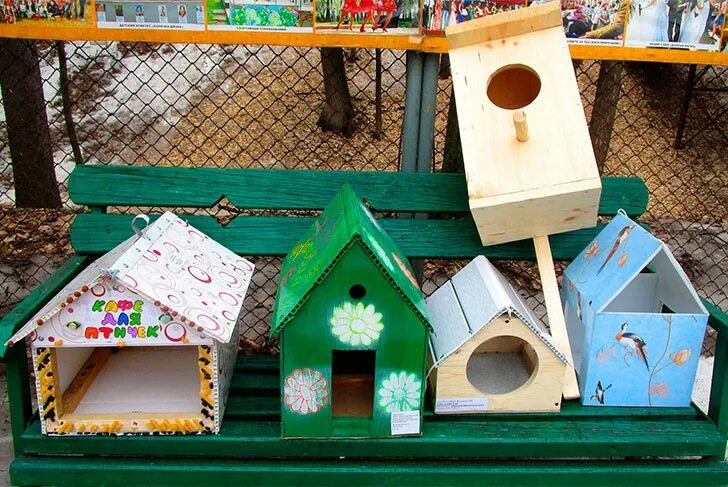 кормушка для птиц и белок. креативные кормушки для птиц своими руками. конкурс кормушек название.