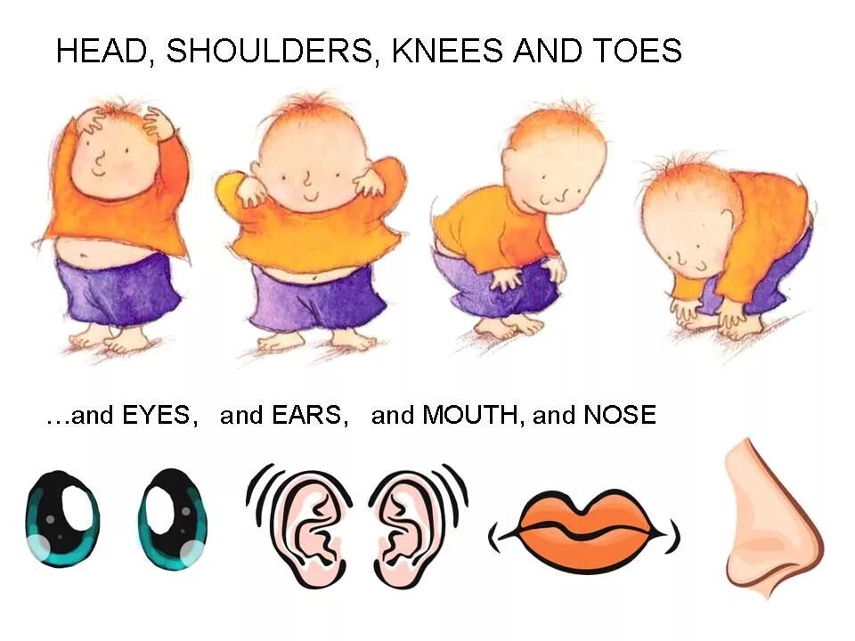 Head Shoulders Knees and Toes. Head and Shoulders Knees and Toes песня. Head Shoulders Knees. Песенка на английском head Shoulders Knees and Toes. Super simple songs head