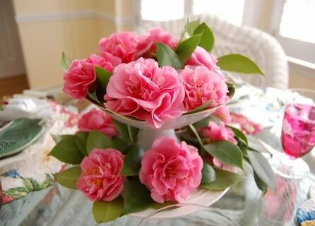 Камелия букет