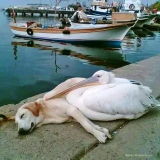 Казалась удивительной