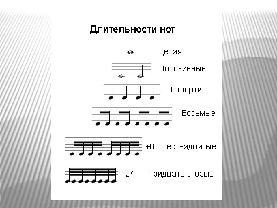 Сколько будет 8 петь. Размер долей нот. Как определить размер нот. Четвертные Ноты в размере 2/4. Как посчитать такты в Музыке.