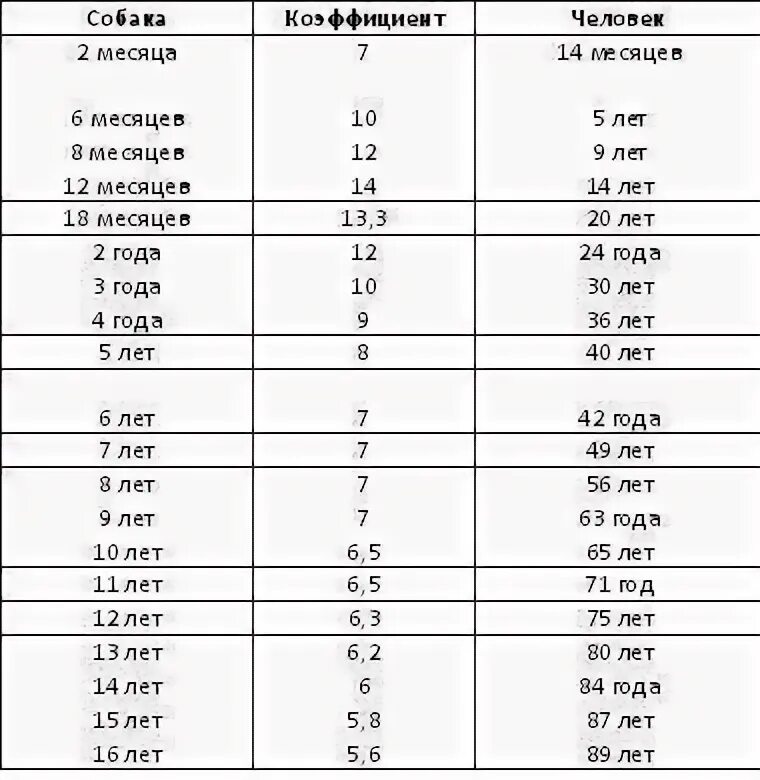 Таблица возраста хомяков. Хомячьи года по человеческим меркам. Таблица возраста хомяка и человека. Возраст хомяка на человеческий Возраст.
