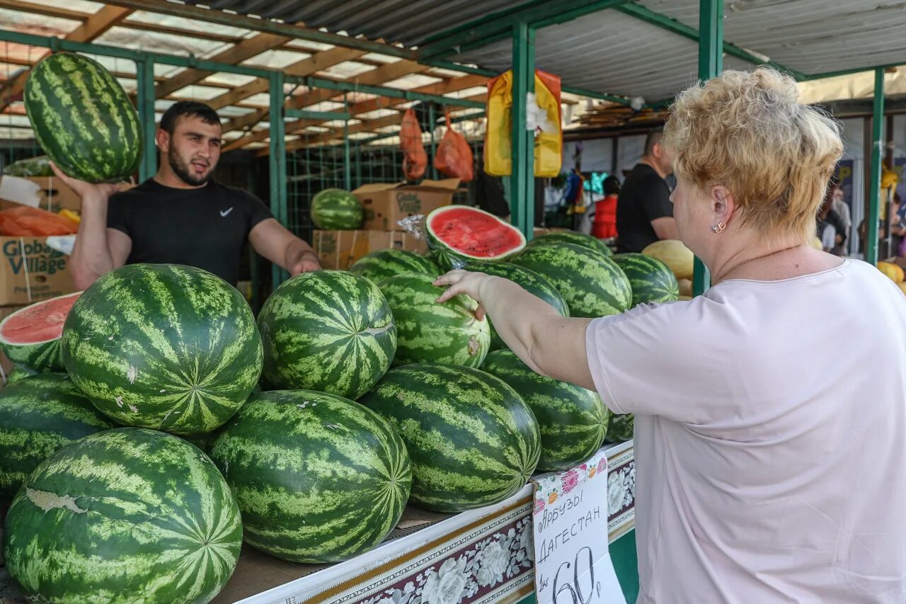 Арбуз сейчас можно. Арбуз. Арбузы в России. Хвостик арбуза. Дегустация арбузов на Ярмарке Астрахань.