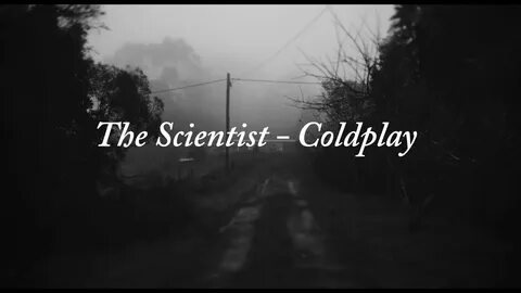The scientist