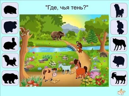 Где живут дикие животные