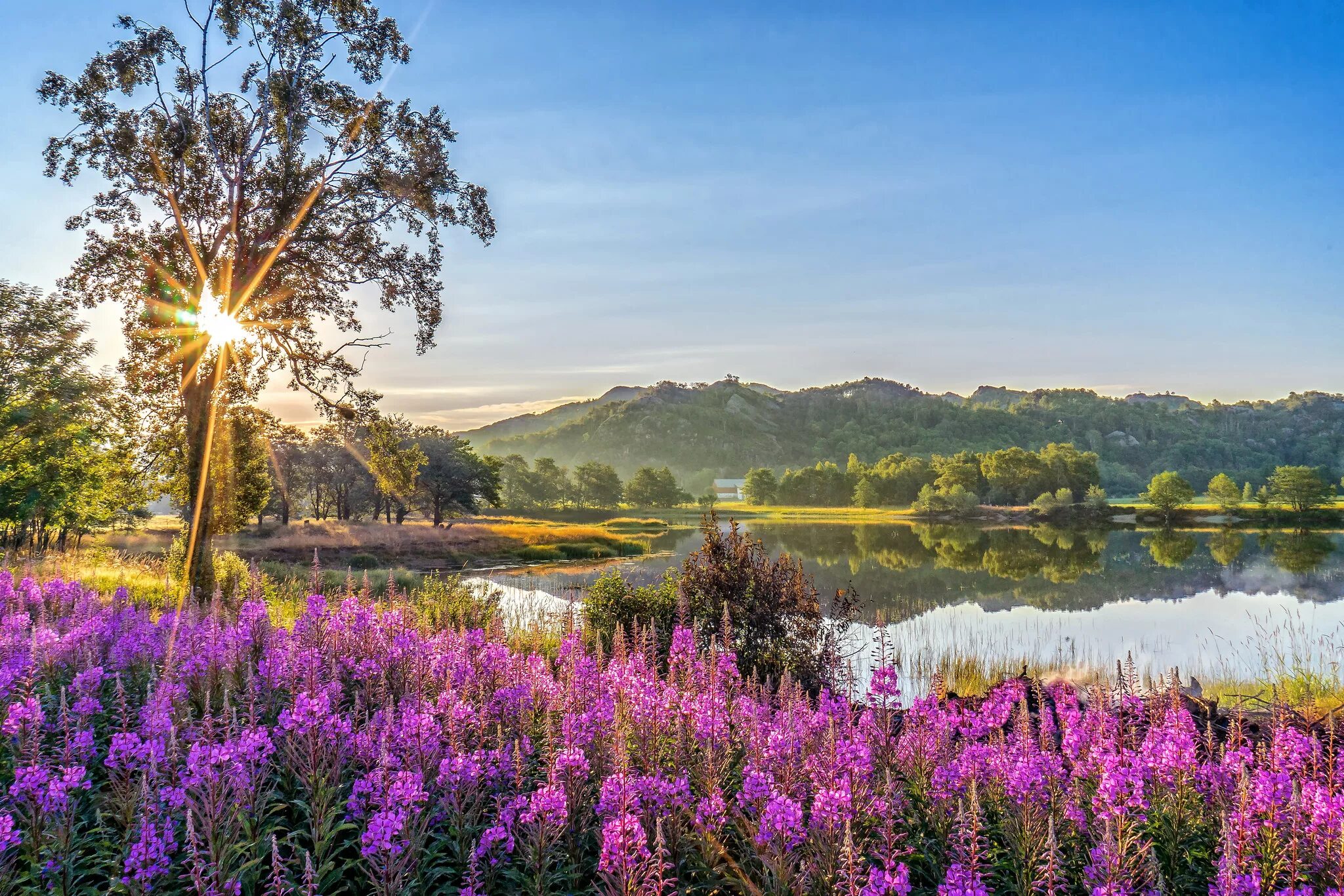 Какие красивые пейзажи. Летняя природа. Красивые летние пейзажи. Весенний пейзаж. Красивое лето.