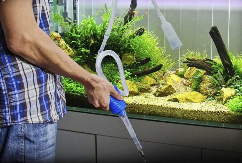 аквариумные рыбки для чистки аквариума. рыбы в аквариуме. как добавлять воду в аквариум. фильтр eheim 2006. подмена воды в аквариуме.