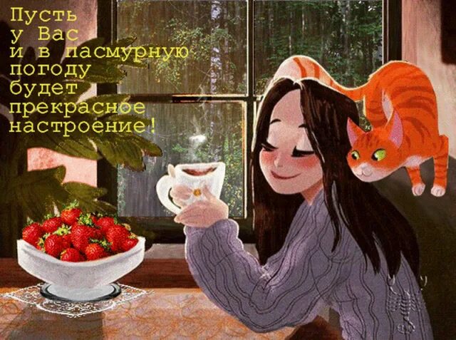 Несмотря на теплые и даже жаркие дни. Хлрошего настроение несмотря на погоду. пасмурное утро не испортит настроение. доброе утро хоть и дождливое. хорошего настроения в холодную погоду.