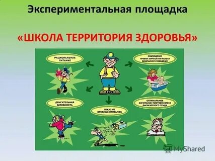Проект по здоровью в школе