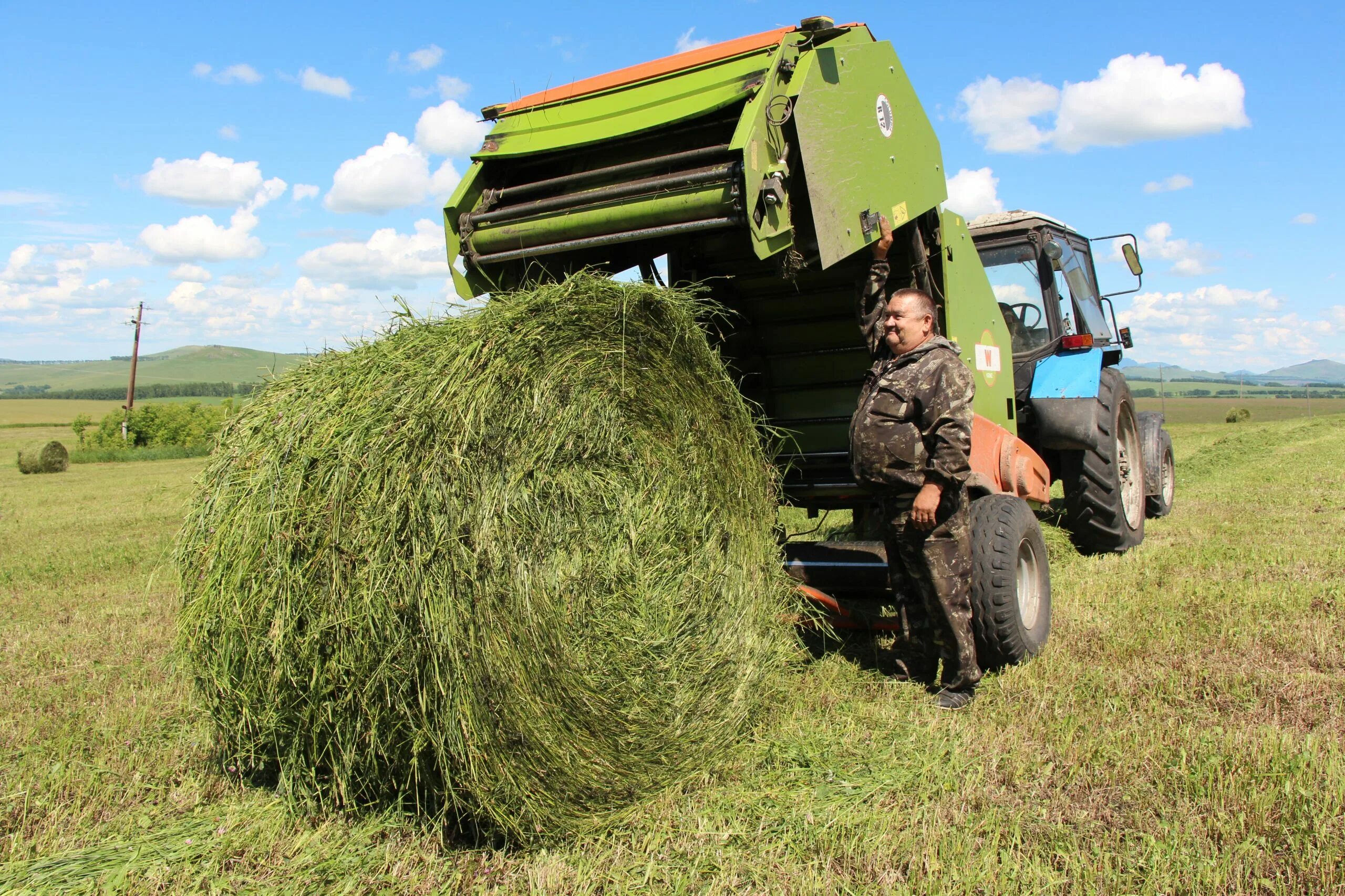 Трава второго укоса. Кормозаготовка. Заготовка кормов. Кормозаготовка в сельском хозяйстве. Заготовка кормов 2023.