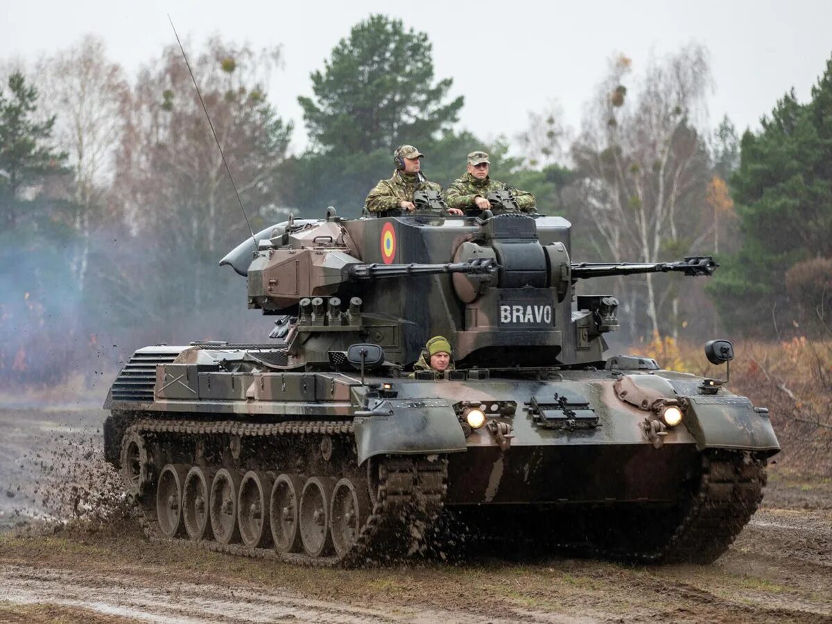 ЗСУ гепард Германия. Гепард ЗСУ. Gepard 1a3 ЗСУ. ЗСУ гепард на Украине. Танк гепард