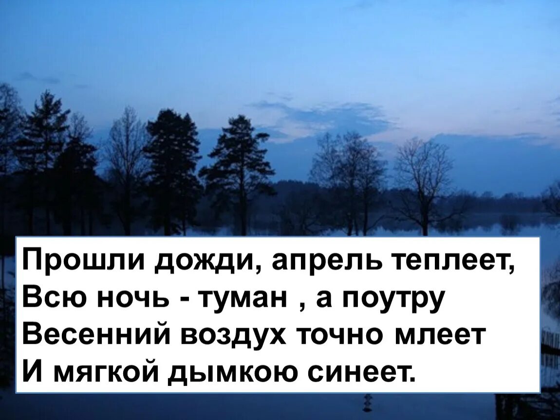 Прошли дожди, апрель теплеет, всю ночь - туман,. Весенний воздух точно млеет и мягкой дымкою синеет. Прошли дожди апрель теплеет стих. Прошли дожди апрель теплеет