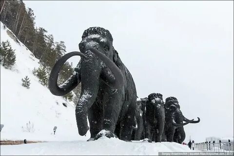 Мамонты ханты