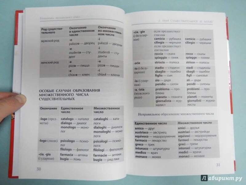 Уроки итальянский язык с нуля. Грамматика итальянского языка. Грамматика итальянского языка в таблицах. Уроки итальянского языка для начинающих с нуля. Итальянская грамматика для начинающих.