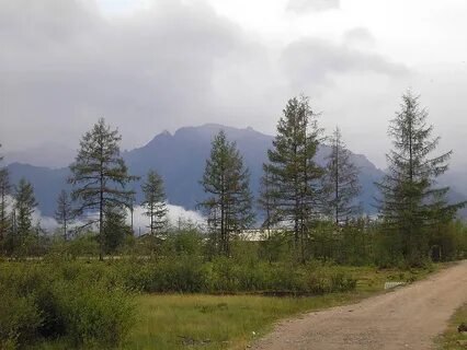 Погода в чаре забайкальский край