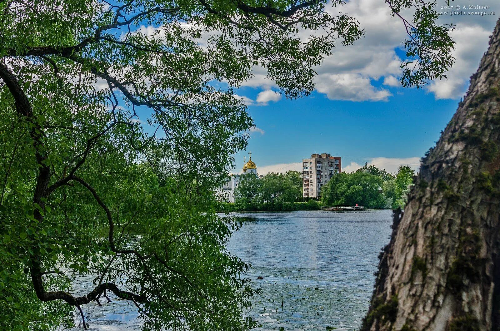 Колпино лен обл. Остров чухонка в колпино. колпинский парк. колпино городской парк. никольская слобода колпино.