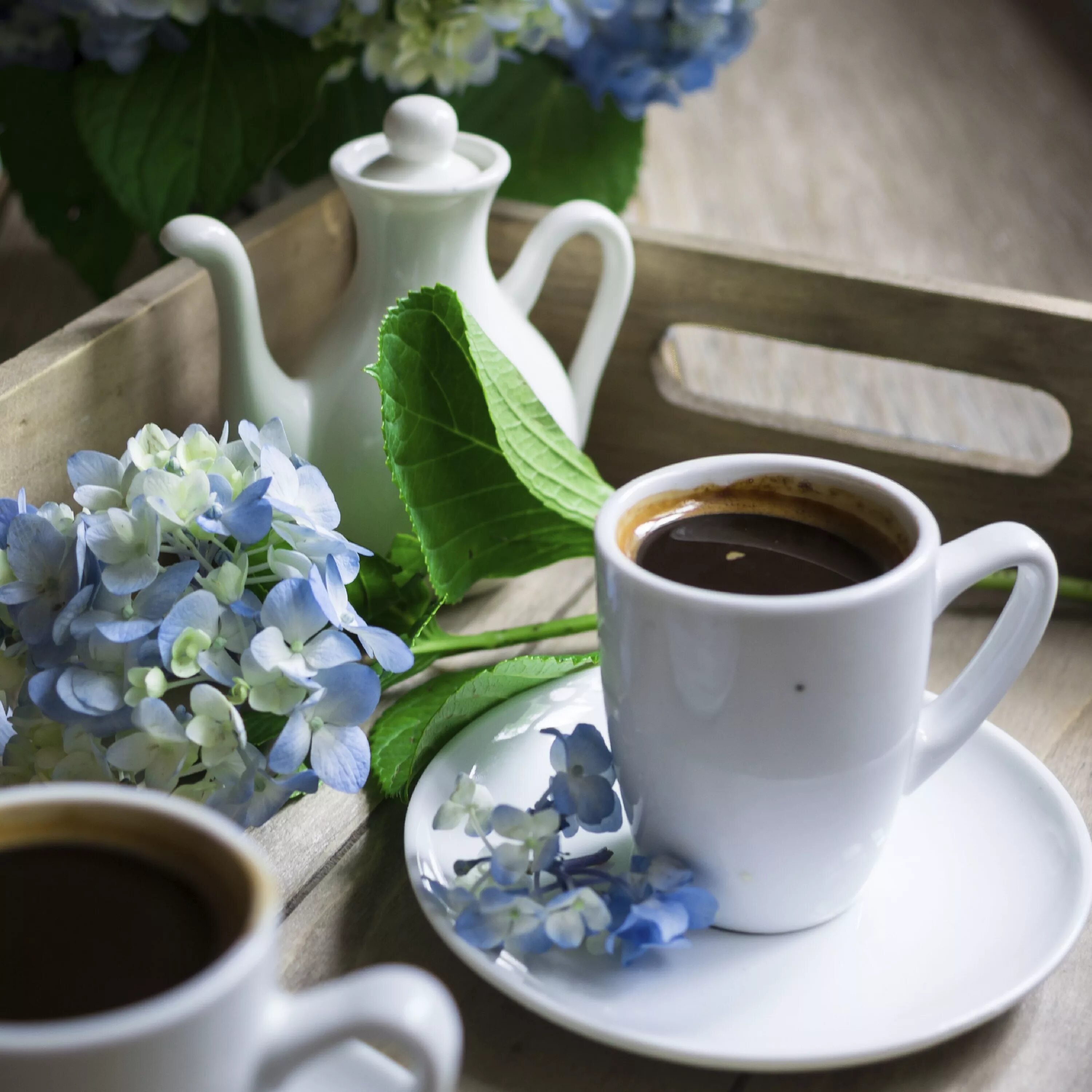 Какое сегодня утро. Чашечка кофе с незабудками. Синяя чашка кофе. Кофе и цветы.