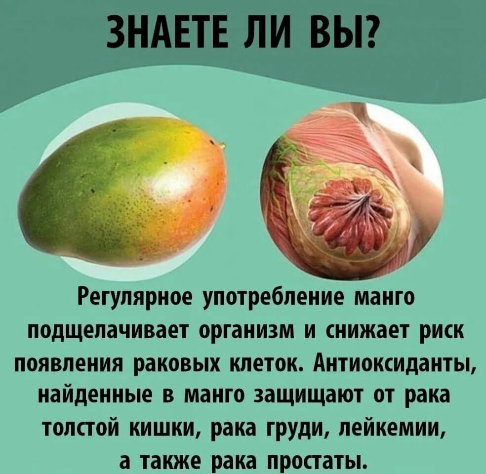 Манго полезно. Чем полезно манго. Чем полезно манго для организма. Манго фрукт польза. Манго польза как едят