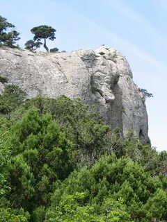 Слоны в крыму
