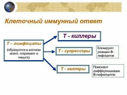Иммунные супрессоры